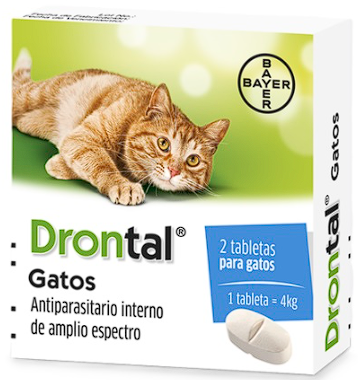 antiparasitario para gatos